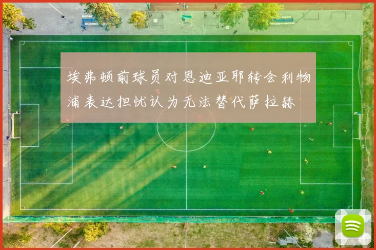 埃弗顿前球员对恩迪亚耶转会利物浦表达担忧认为无法替代萨拉赫